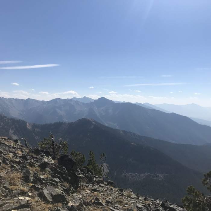 Near Livingston Peak Trail #449