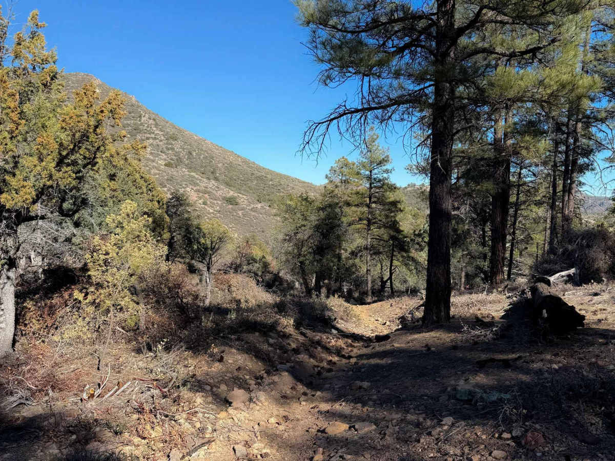 Cutoff Trail #22  photo 4