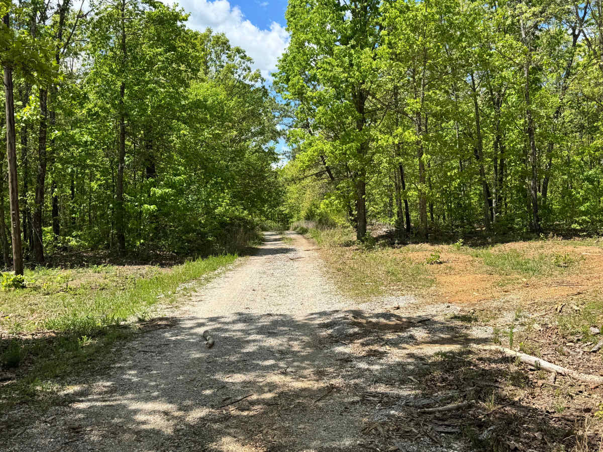 Duke - FS 1755 trail photo