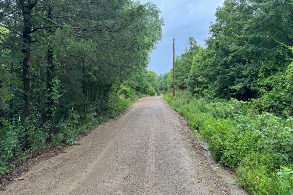 Ryan Road