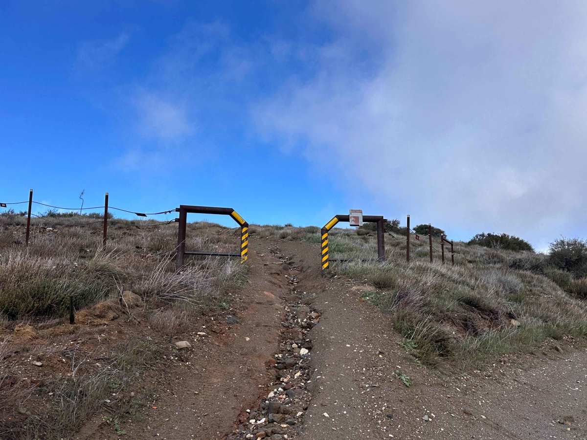 Dori's Downhill trail photo