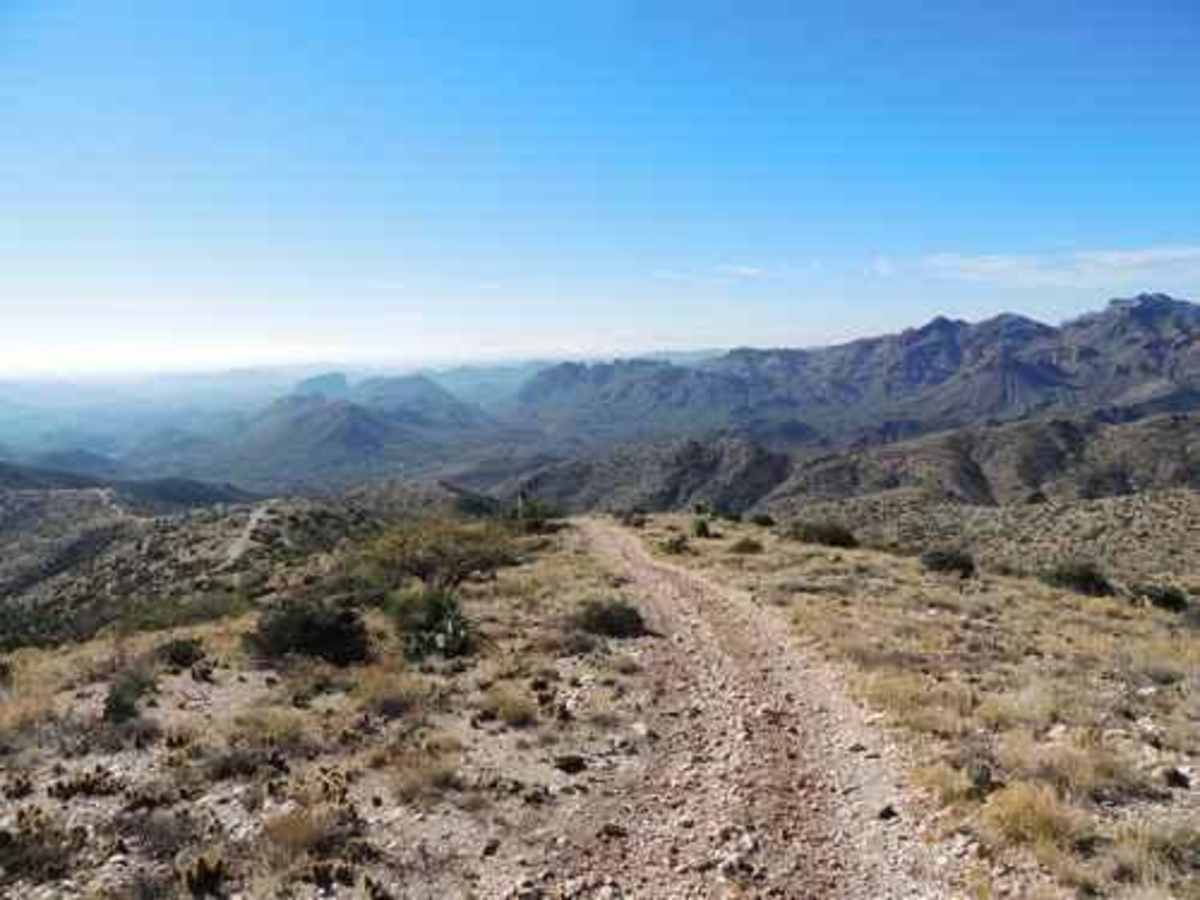 Pucker Ridge trail photo