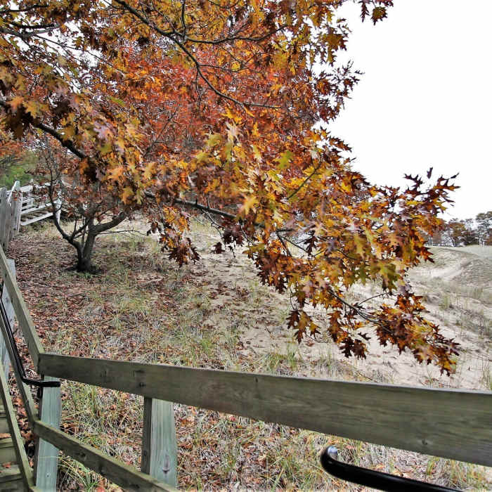 Stretching staircase at North Ottawa Dunes" by Mike Lozon. Photo courtesy of Ottawa County Parks & Recreation. Near North Ottawa Dunes Lower Loop