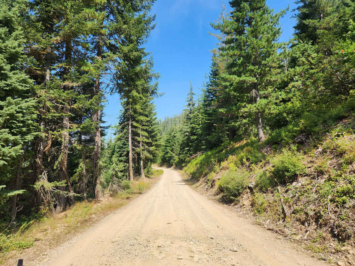 Oregon Toboggan Road photo 3