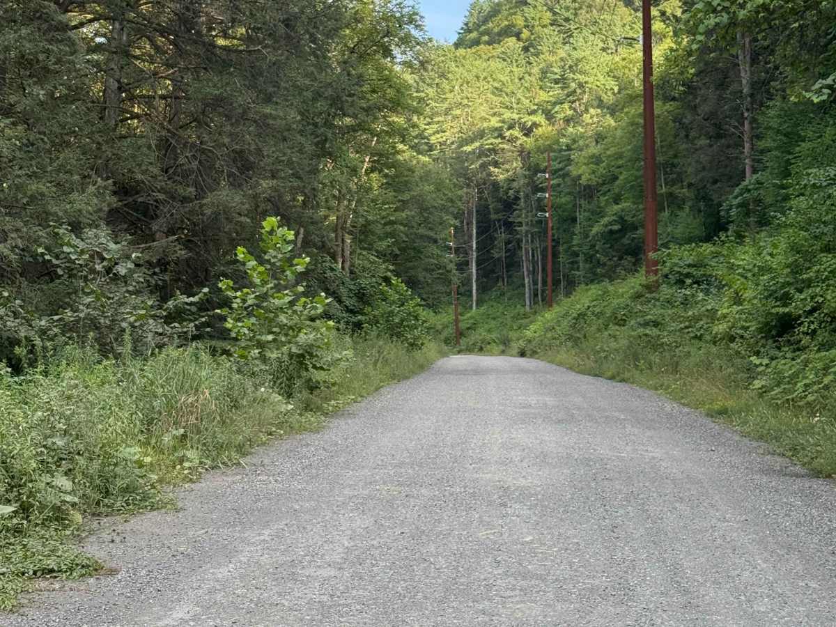 Parker Road photo 3