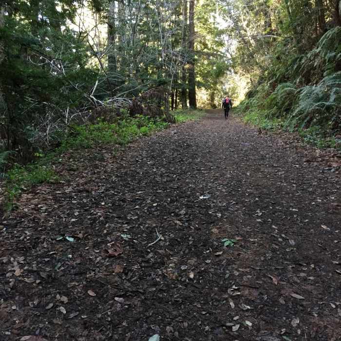 Near Bay Area Ridge Trail: Craig Britton Trail