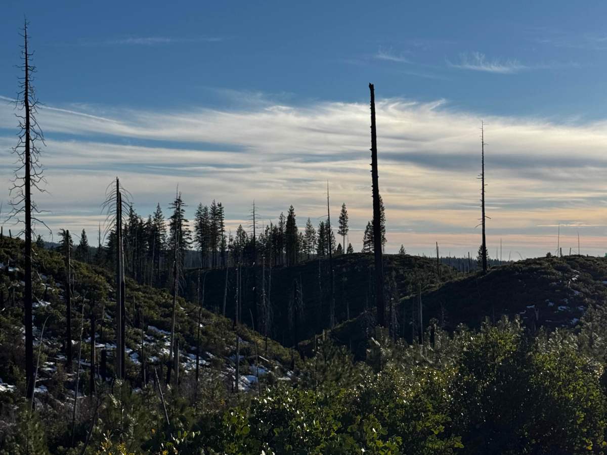 American Hill Mine Spur photo 2
