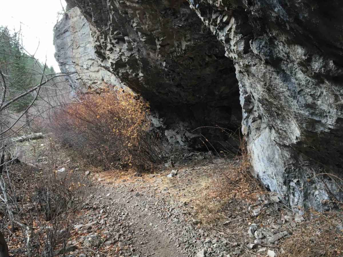 Burns Creek, Hell Hole, and Coalmine Access photo 5