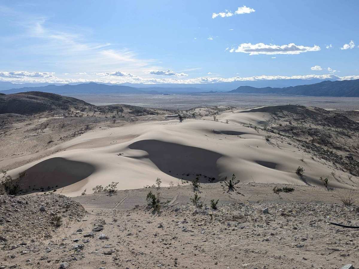 BLM 335 trail photo