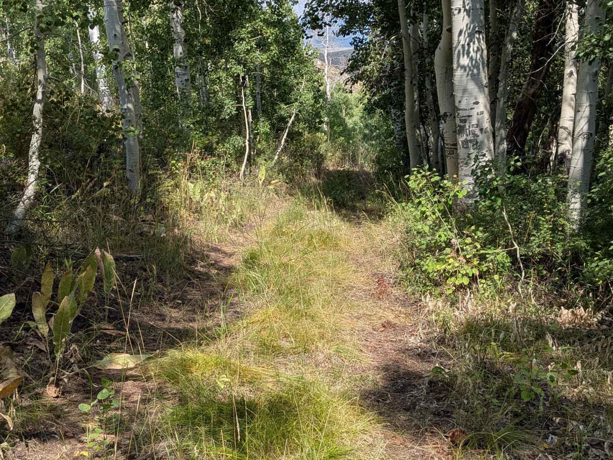 Cameron Canyon photo 5
