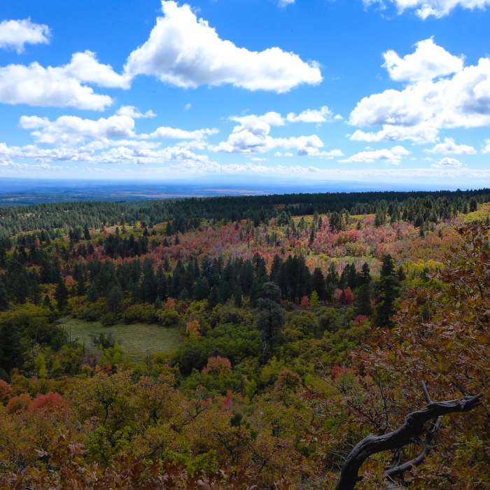 Near Wagonwheel Trail (168)