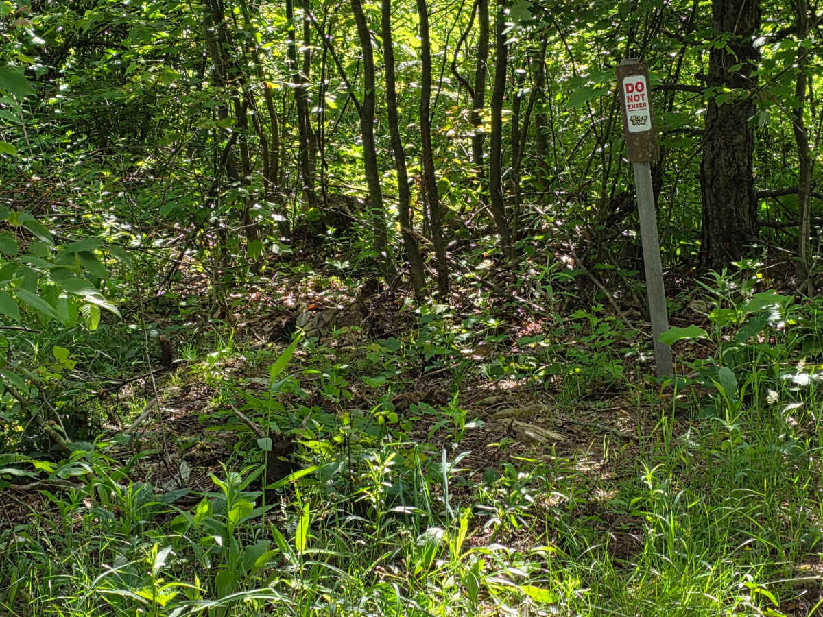 Single Track E photo 2