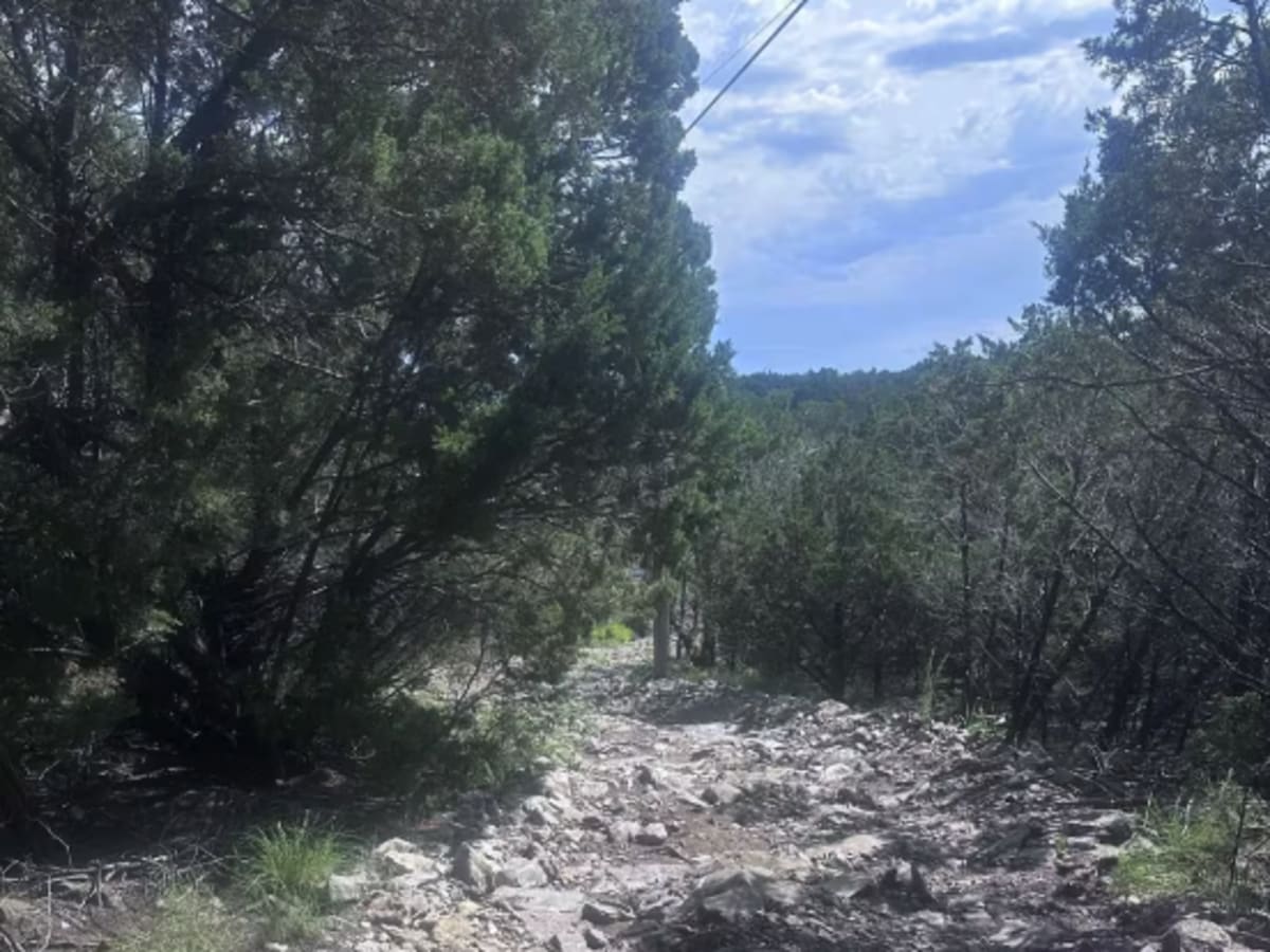 Powerline 1st Segment photo 5