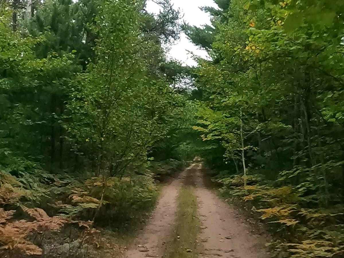Raco - FS 3578 trail photo