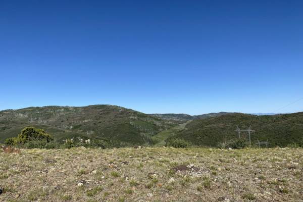 Antones Hollow Trail
