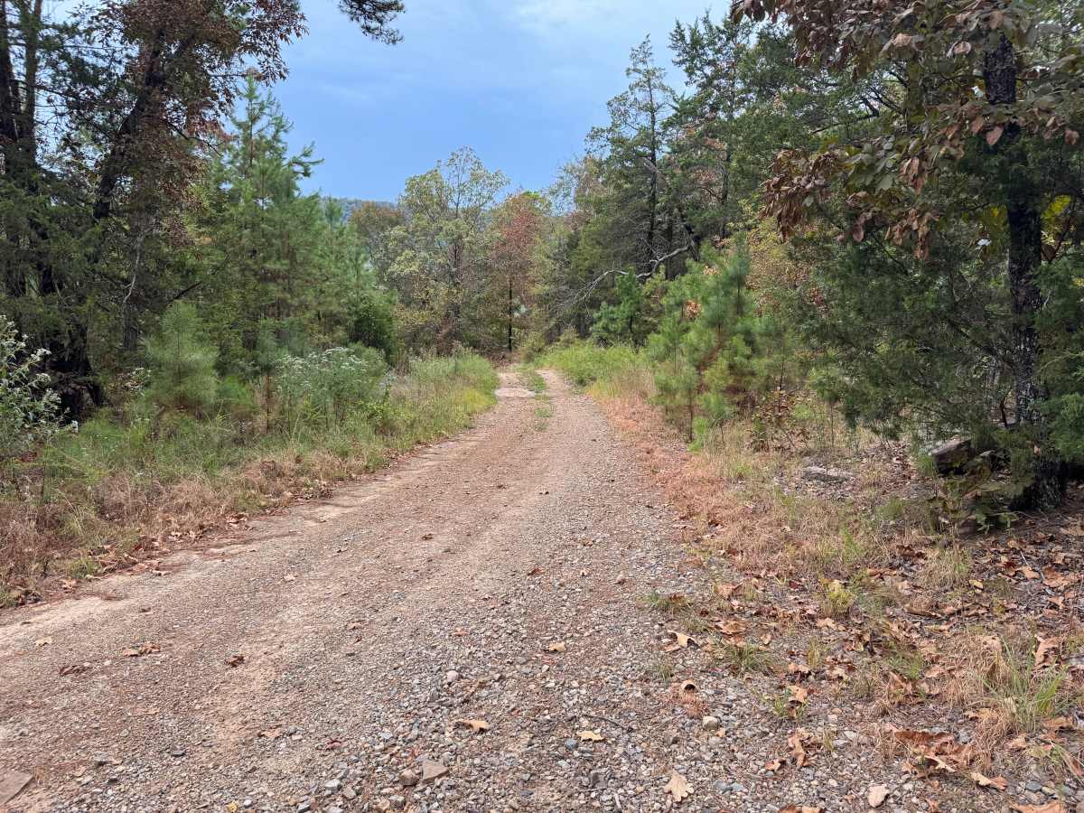 Hickory Grove trail photo