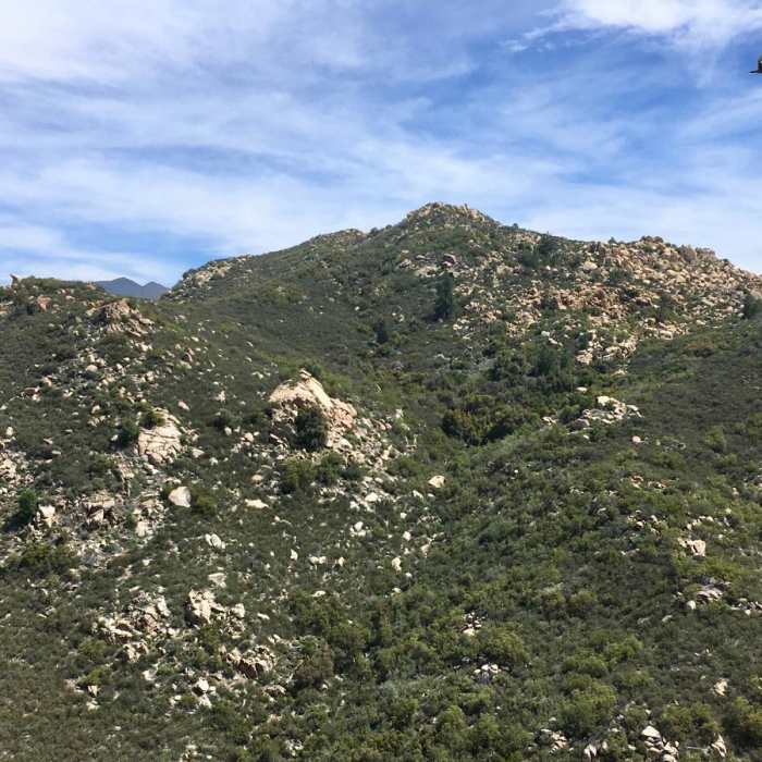 Near Pacific Crest Trail: California Section B