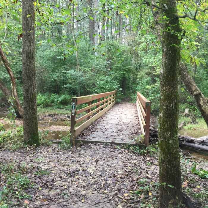 Bridge. Near Jackson Creek Trail