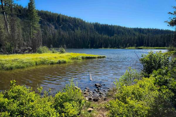 Manastash Lake - FS 1350