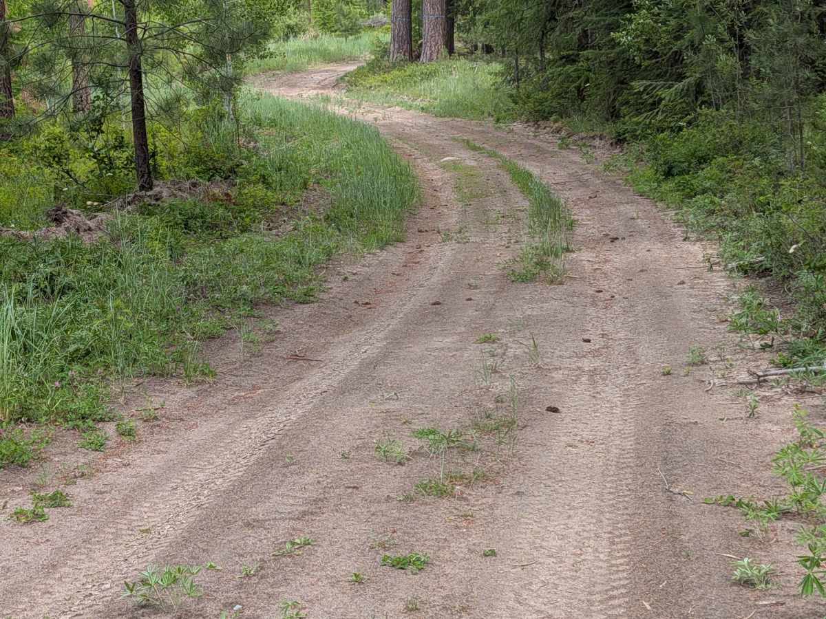 E332411C trail photo
