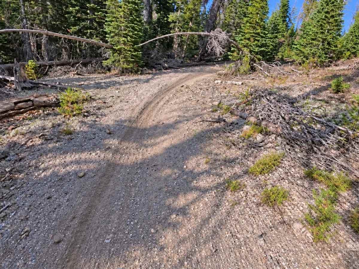 FS 3S109 Singletrack photo 3