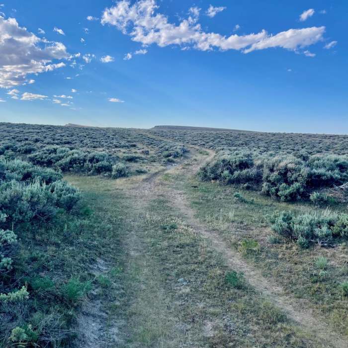 Near Continental Divide Trail: Wyoming Section 6