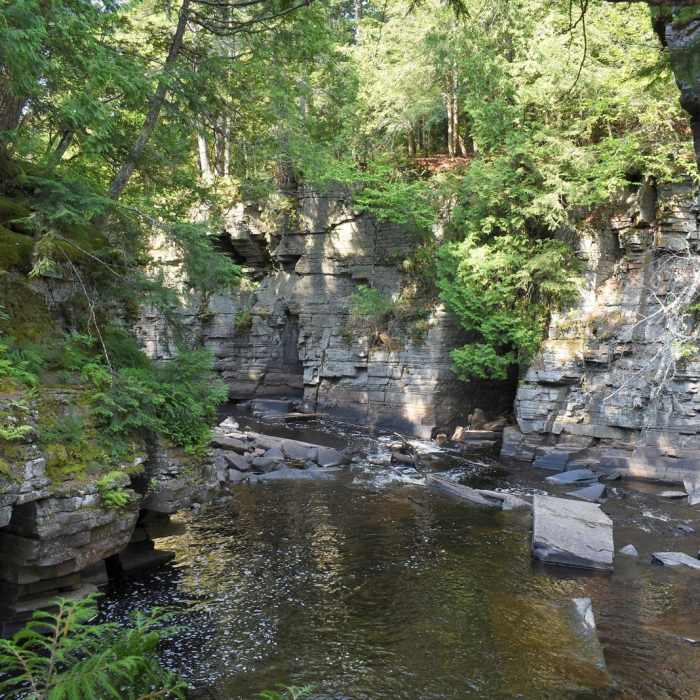 Near Canyon Falls Trail