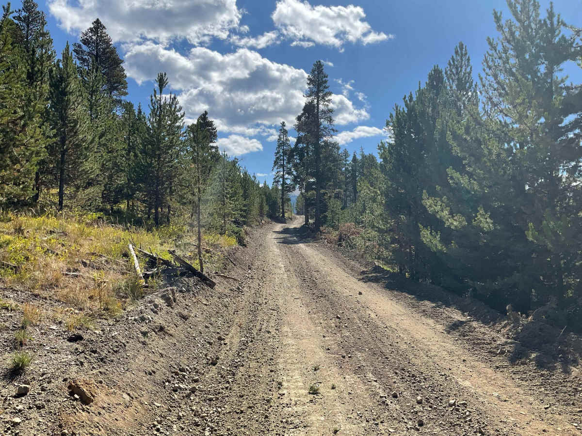 Kentucky Gulch Trail photo 3