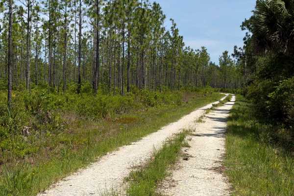 Quarters Road