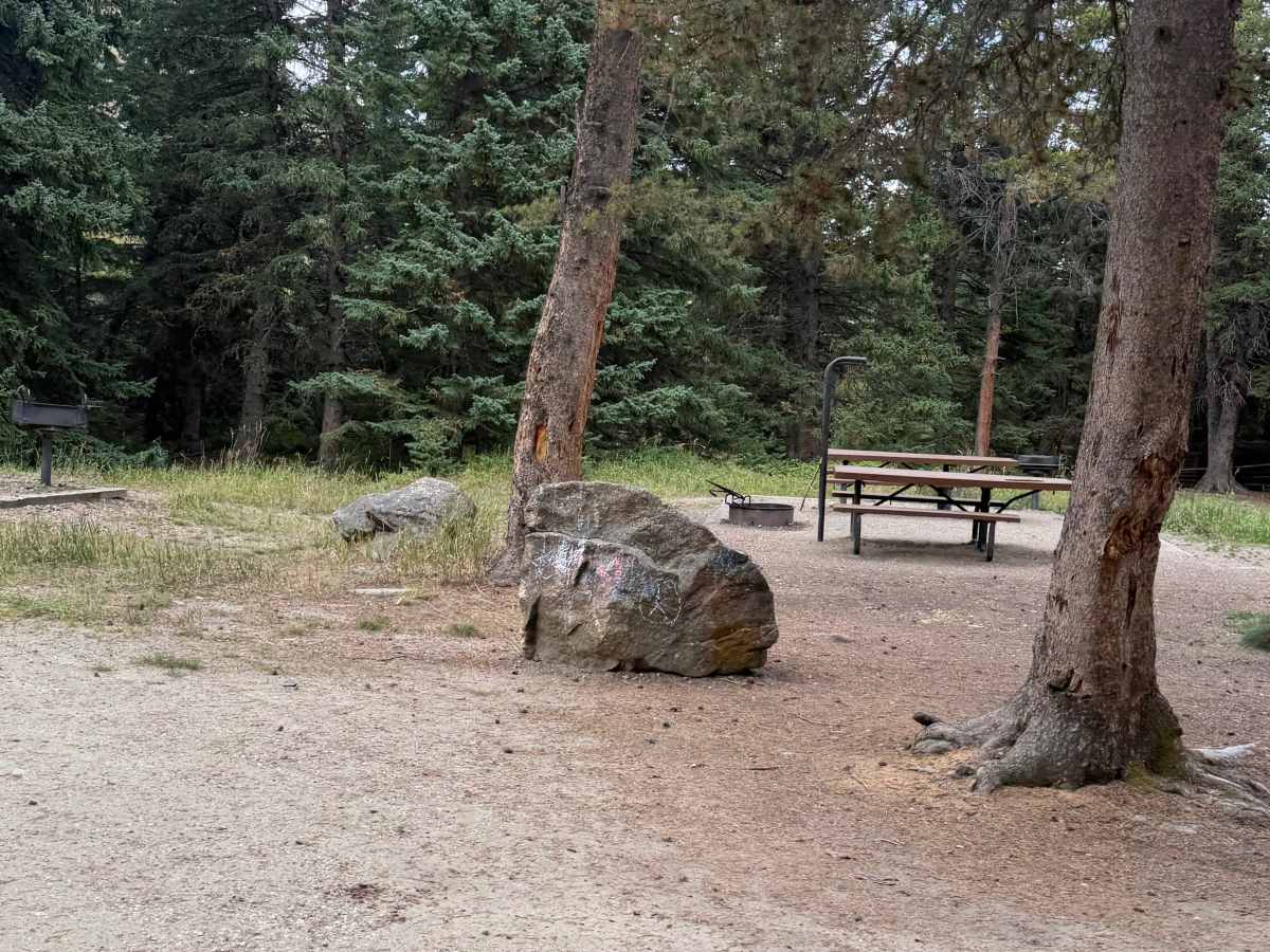 Middle Fork Campground Road photo 3
