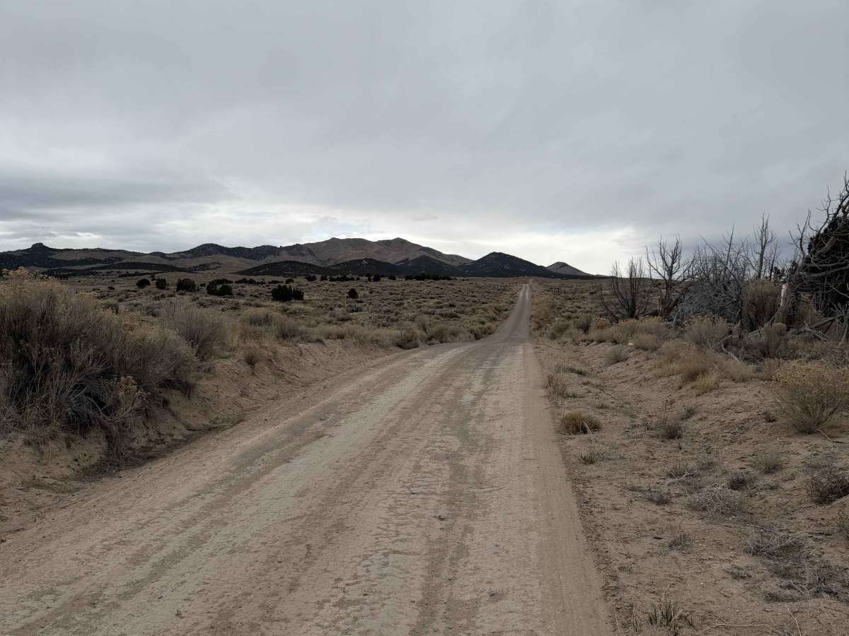Shepherd Road photo 5