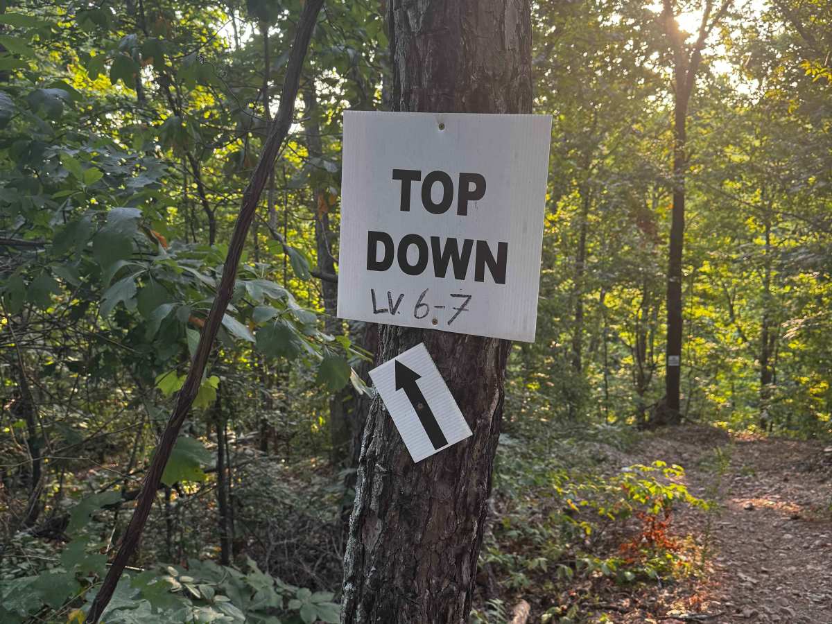 Top Down  photo 4