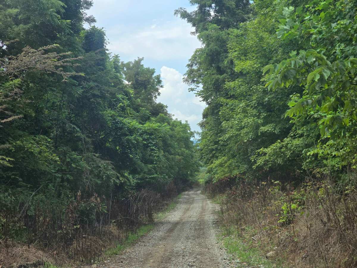 Connector Trail 50 photo 4