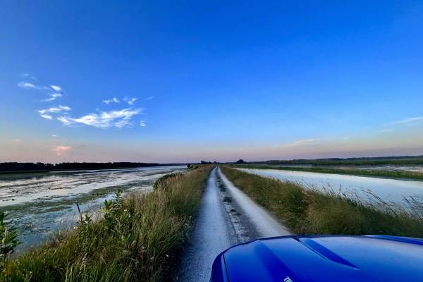 Wildlife Drive