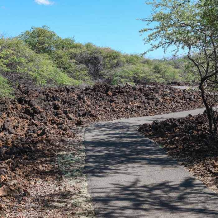 Near Puako Petroglyph Preserve via Malama Trail Near Puako Petroglyph Preserve via Malama Trail