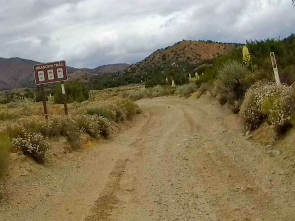Meadows Trail trail photo