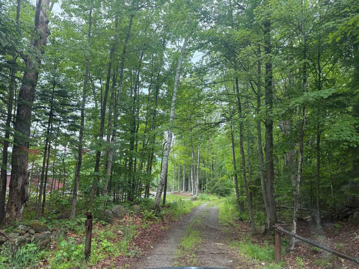 Ruger Estate Boundary photo 2