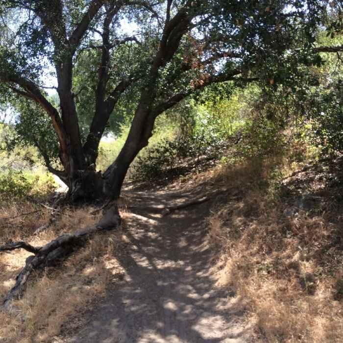 Near Santa Margarita River Trail