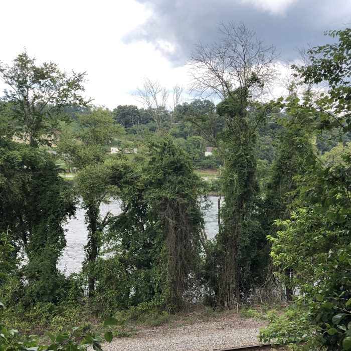View of the French Broad River - One of the largest rivers in North Carolina Near Richmond Hill Park Trails