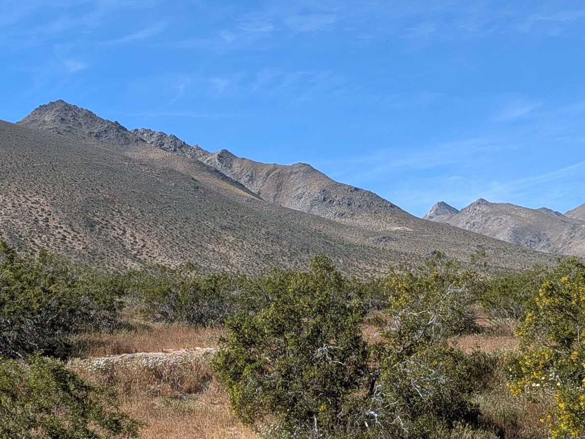 BLM LAP Grapevine Canyon trail photo