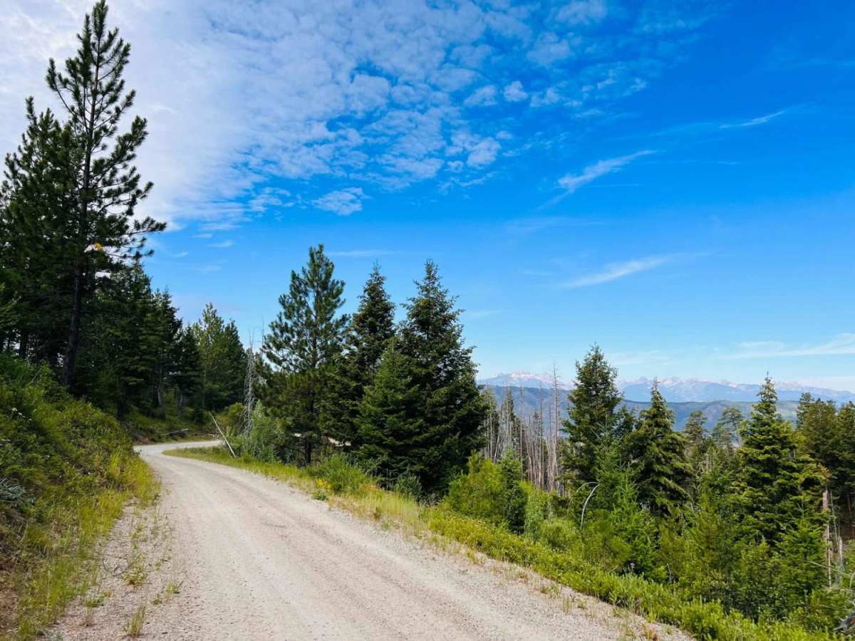 Blue Mountain Connection trail photo