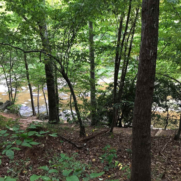 Near Cole Mill Trail