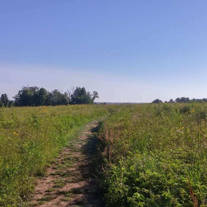 The trail going through the wildflowers in the grasslands. Near Perimeter Loop