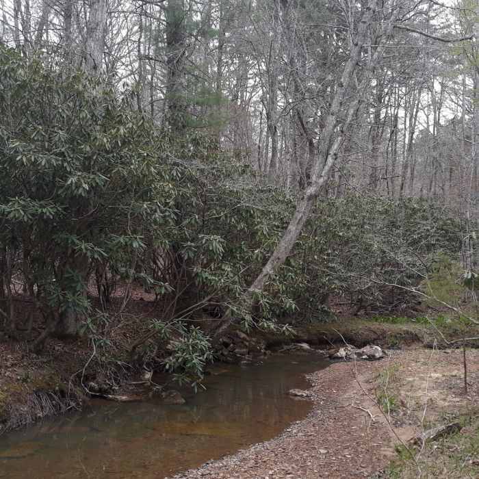 Near Poverty Creek Trail