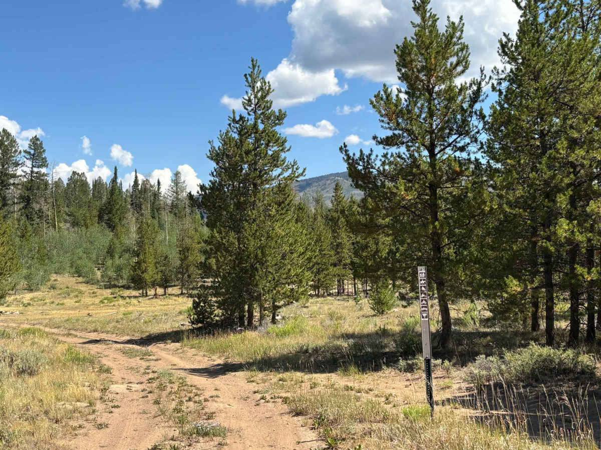 Aspen Nook trail photo