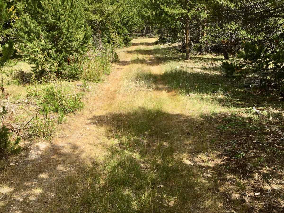 White Pine Ridge Route photo 3