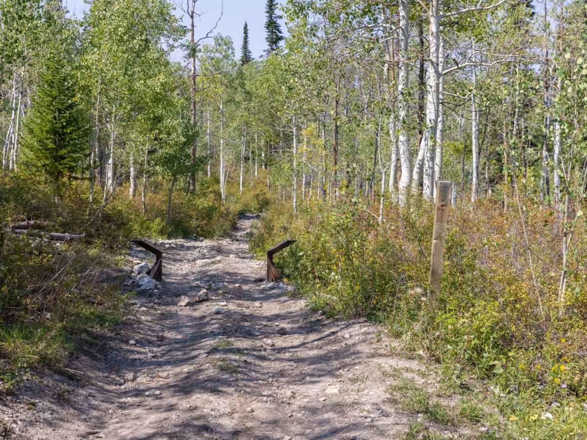 Pinchot to Cowboy Camp Trail photo 6