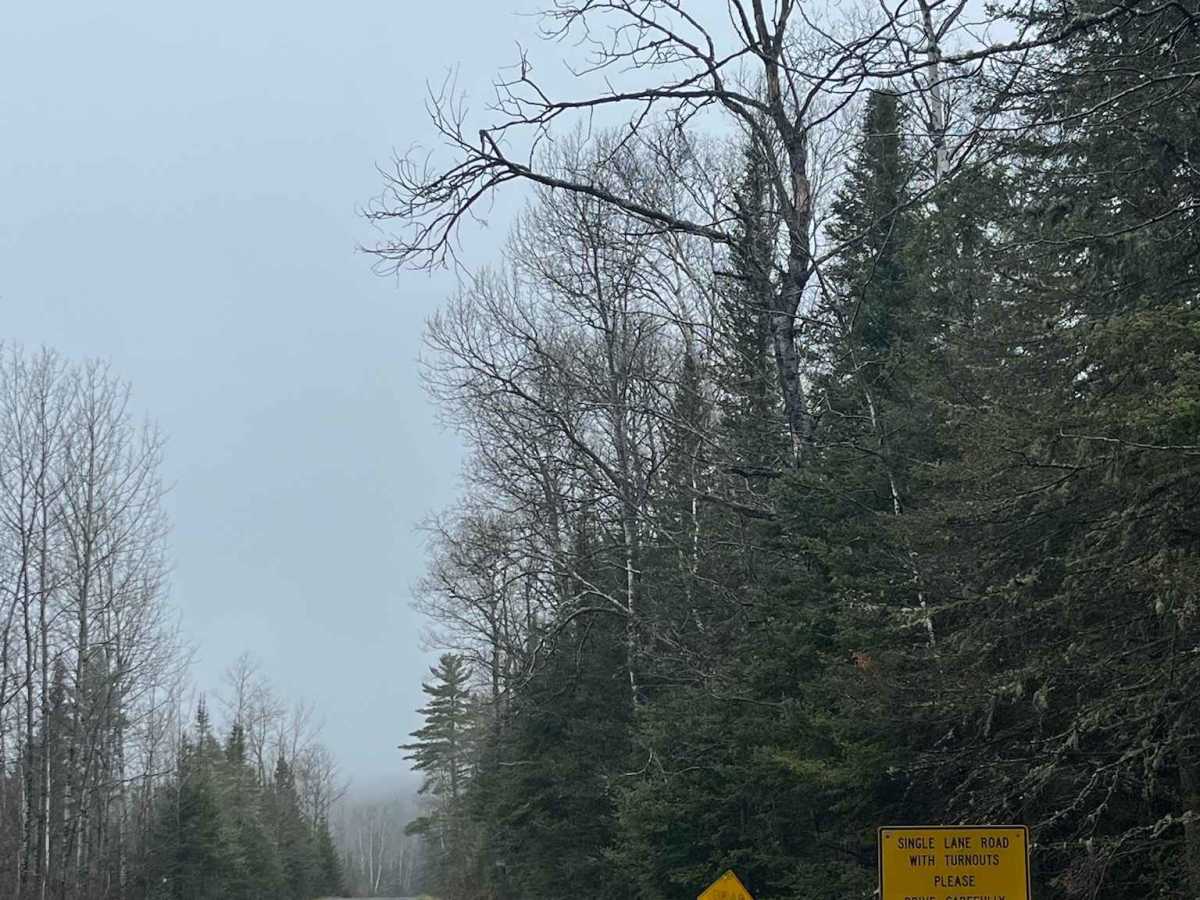 Ball Club Lake Road trail photo