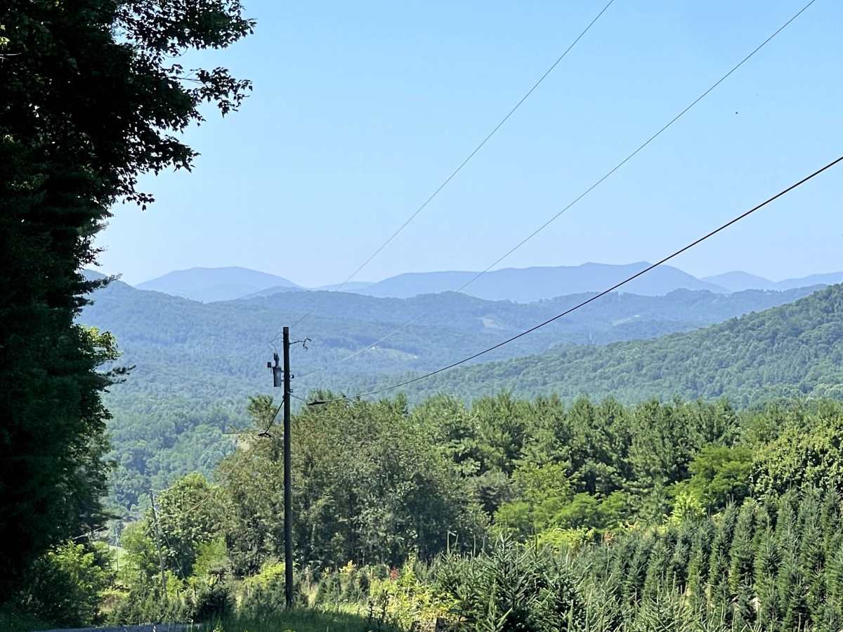 Panther Creek trail photo