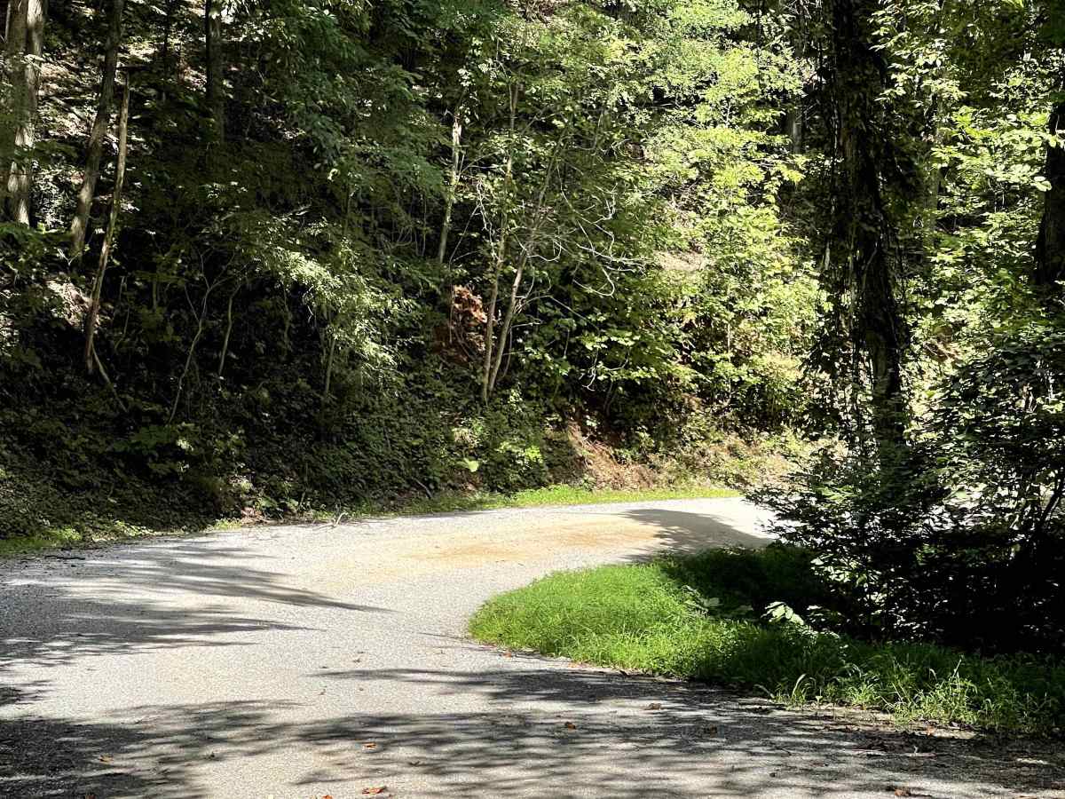 Dagger Springs Road photo 3